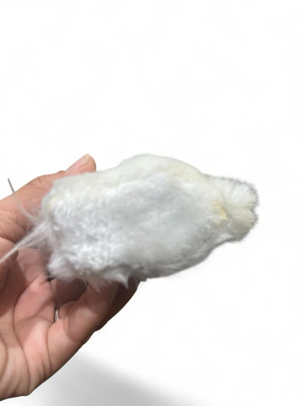 Kurt S Adler Long Hair White Pomeranian Shih Tzu Dog Christmas Ornament Plush